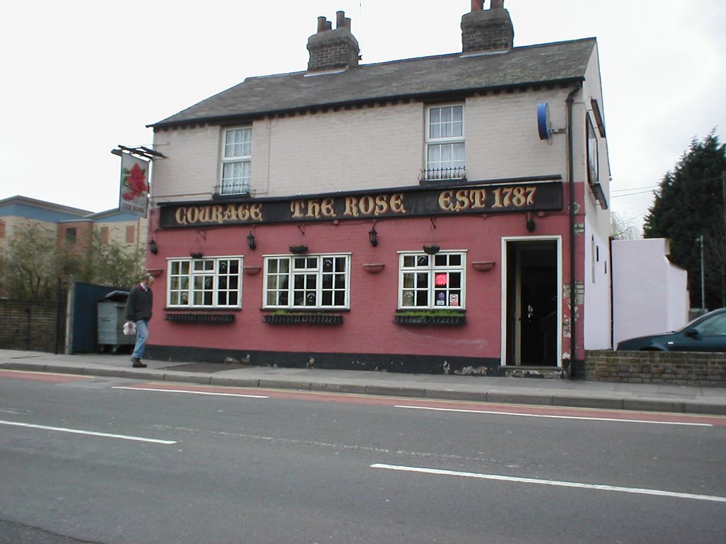 The Rose