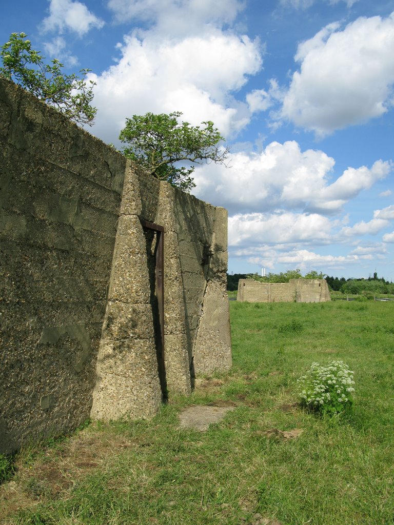 Derelict concrete buildings