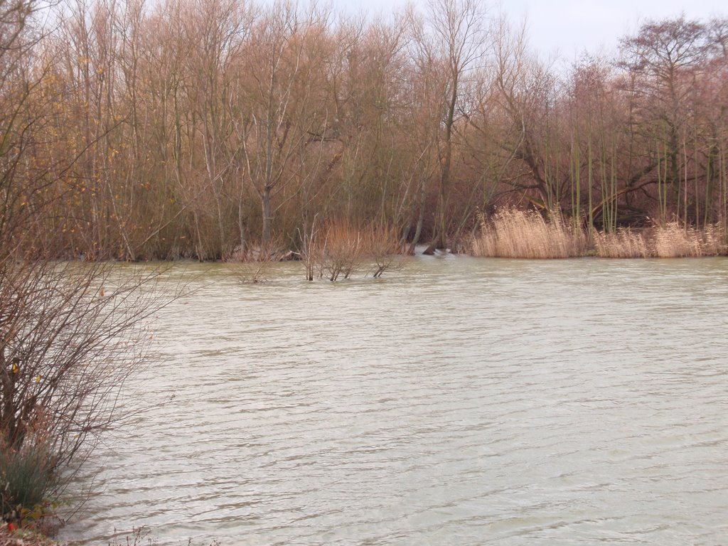 Quarry Lake