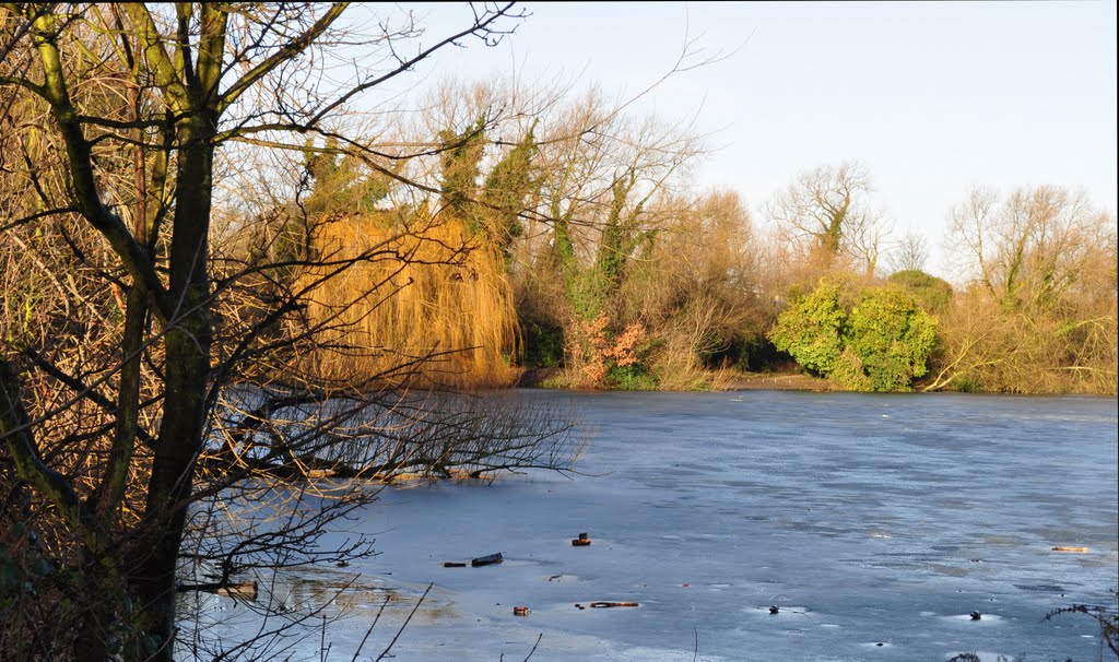 Dartford Lakes