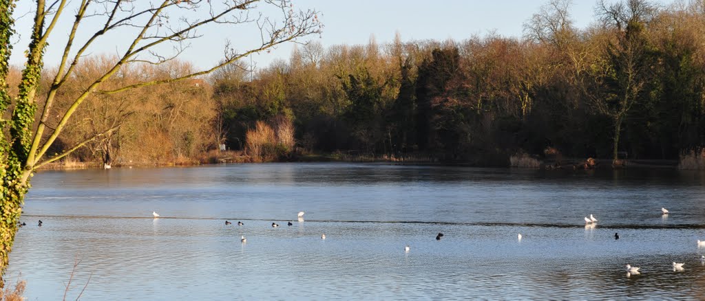 Dartford Lakes