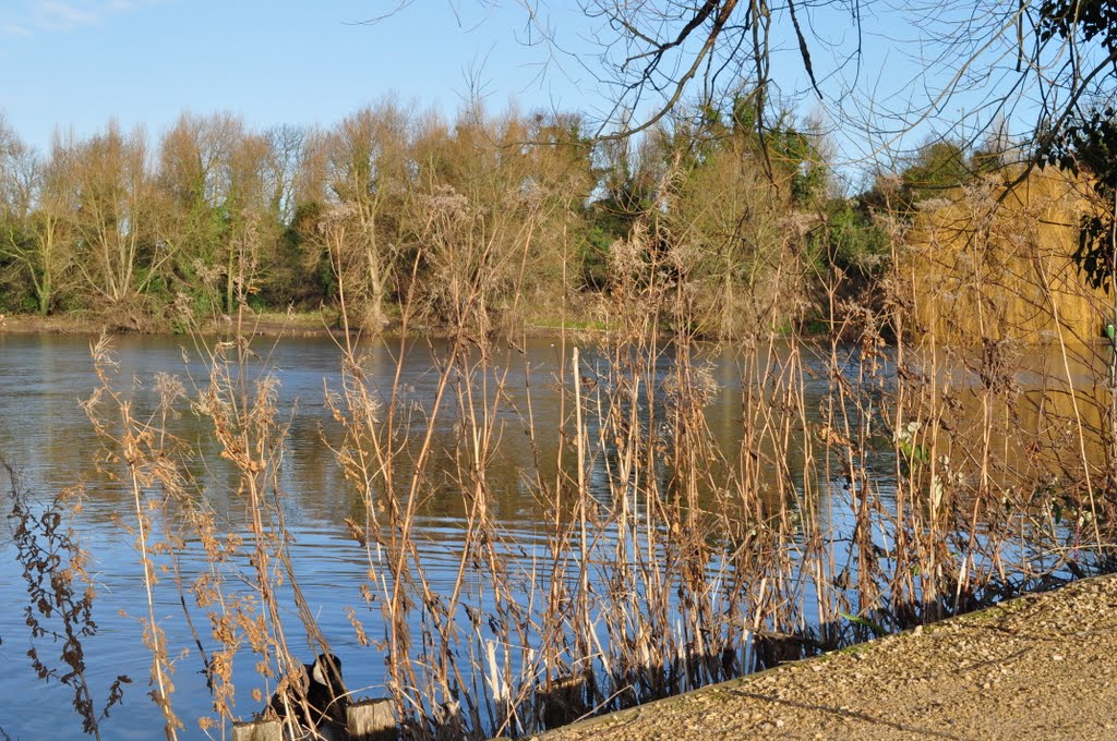 Dartford Lakes