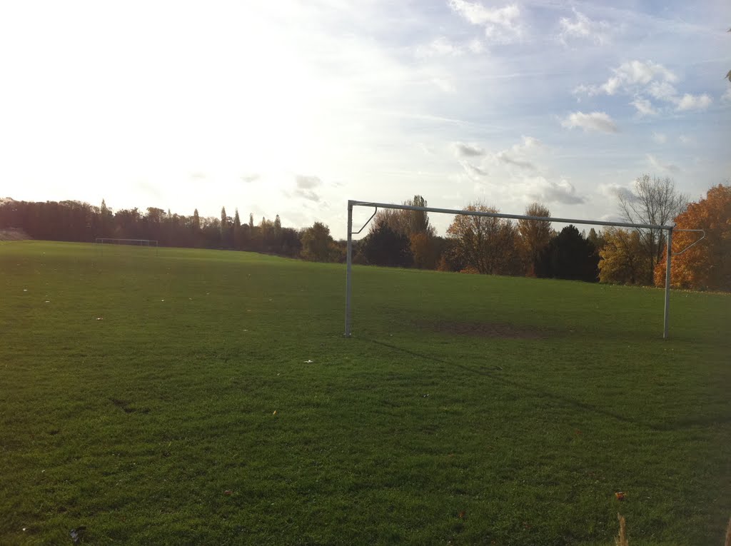 Dartford Greenheart