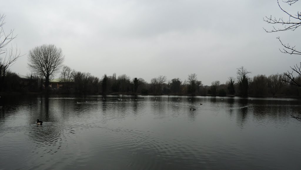 Dartford Lakes