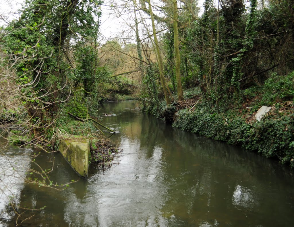 The Darent - Brooklands lakes