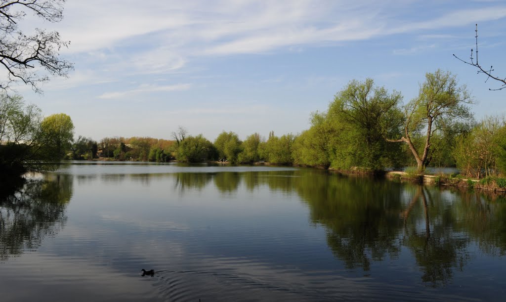 Dartford Lakes