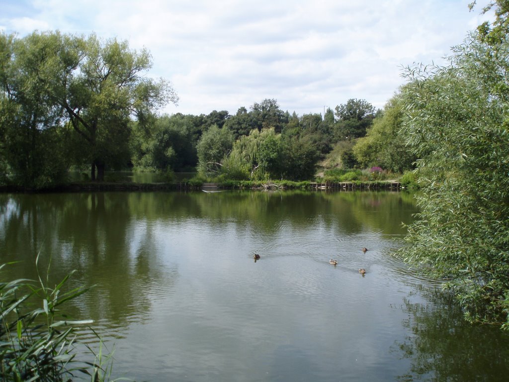 Dartford lakes