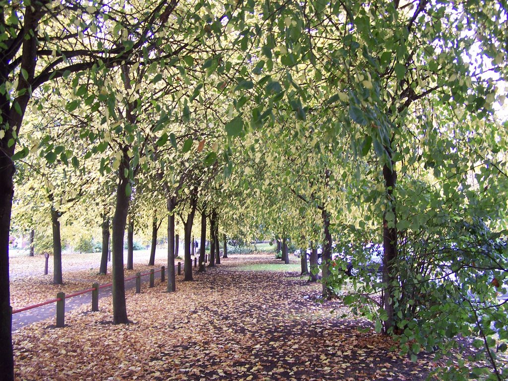Derby City Autumn Walk