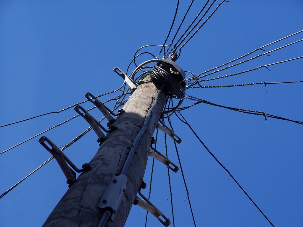 Telegraph Pole