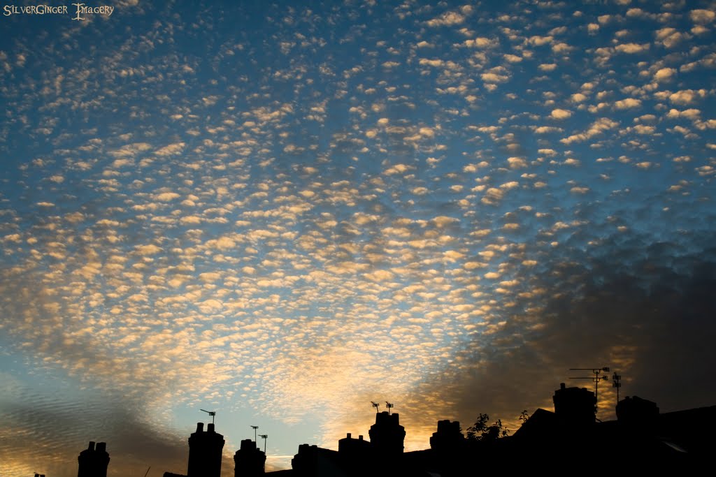 Whispy Clouds