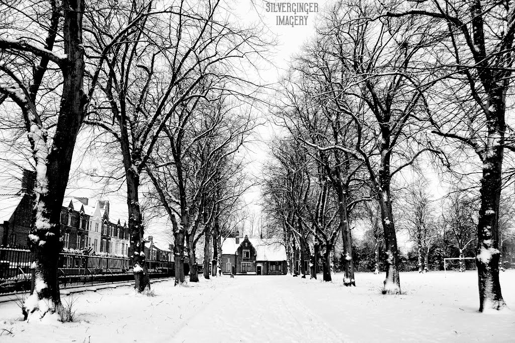 Snowbound Avenue