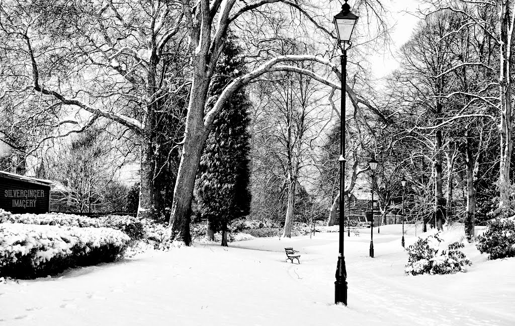 A Winters Tale