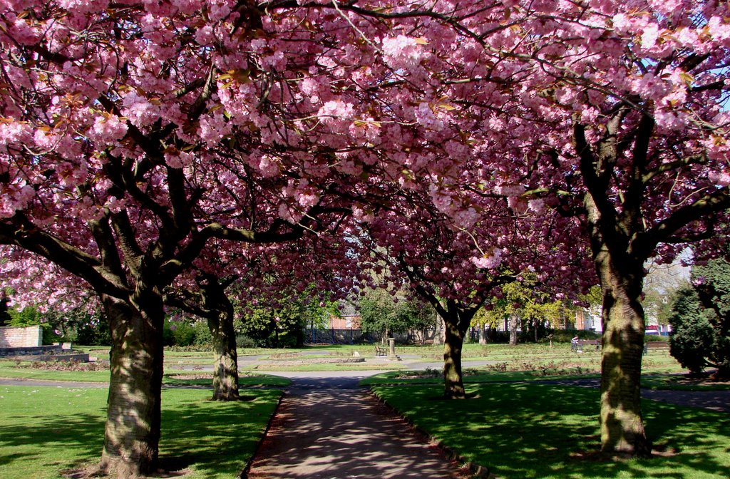 Elmfield Park /Doncaster/