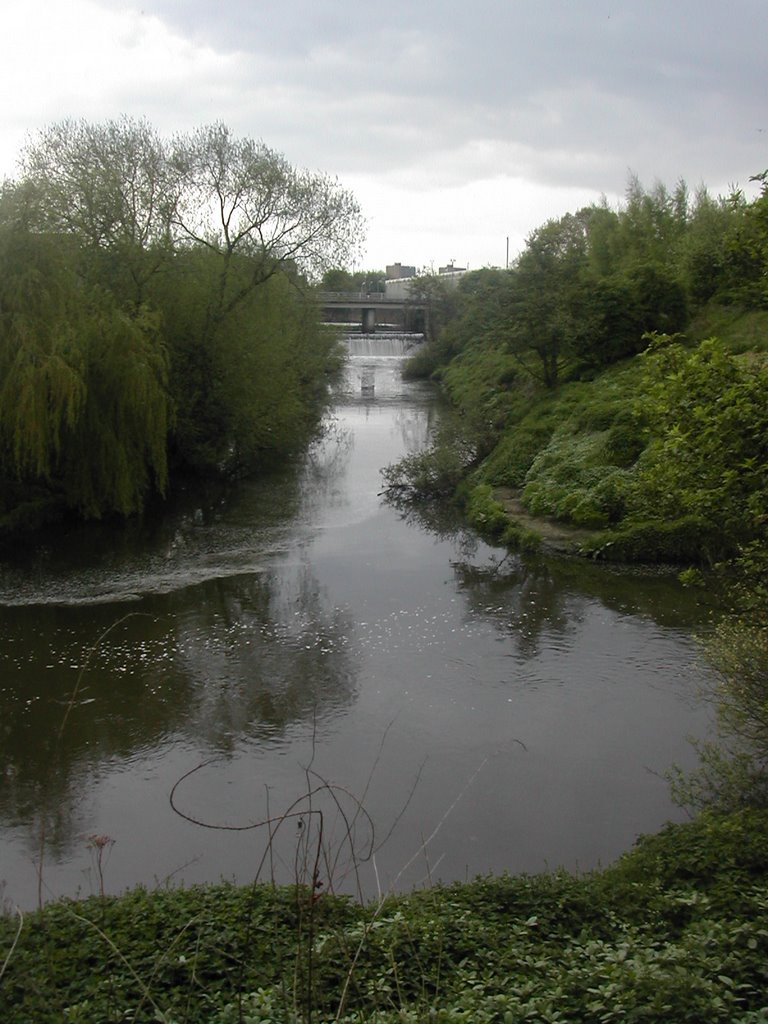 River Cheswold