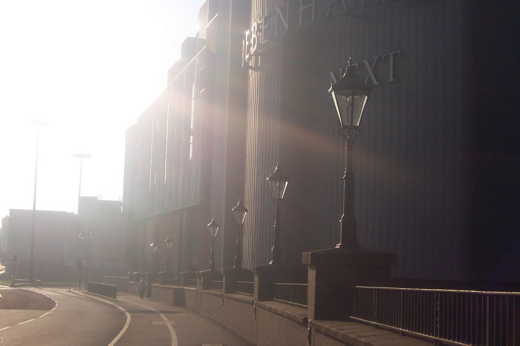 Sunny Donny