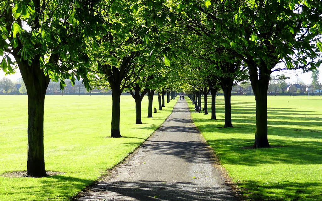 Town Field Doncaster