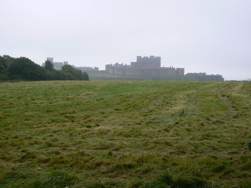 Dover