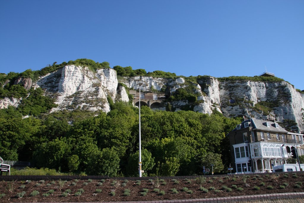 Dover