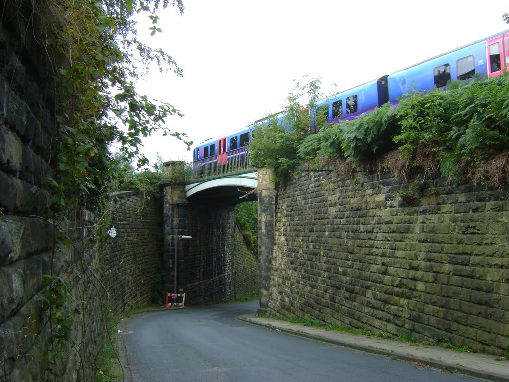 Train Crossing The Viaduct Across Jack Lane.