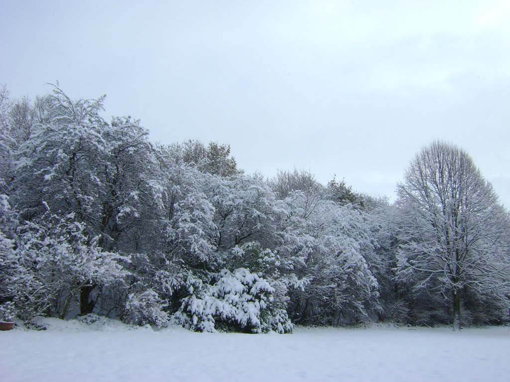 Headfield View Under November Snow.