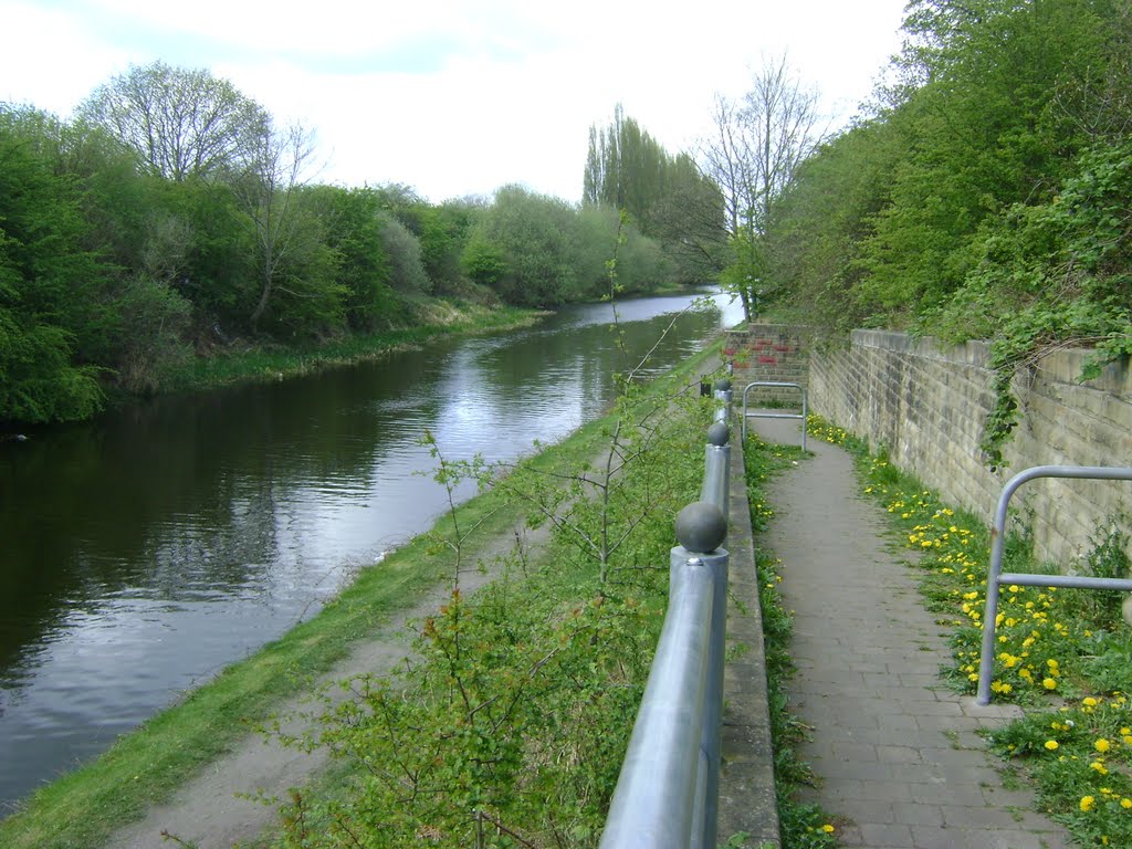 Calder & Hebble Canal Off Slaithwaite Road.