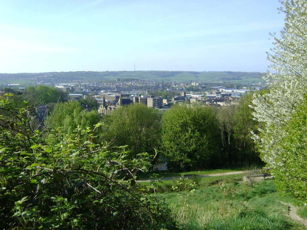 Dewsbury From Caulms Wood.