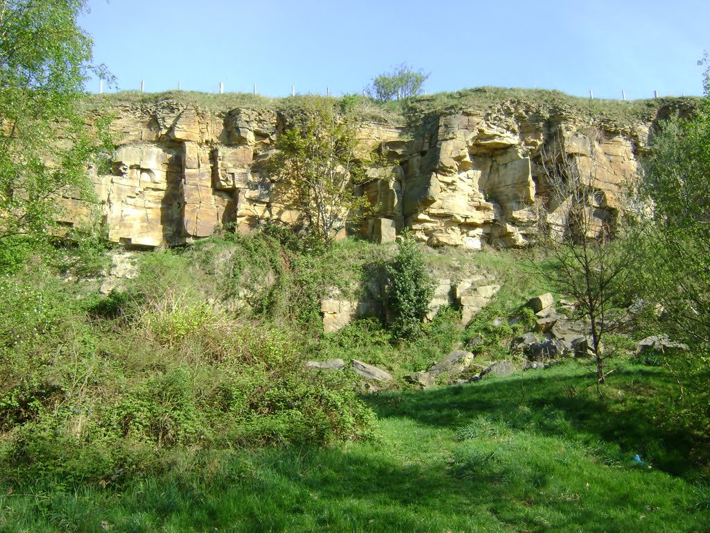 Caulms Wood Rockface.