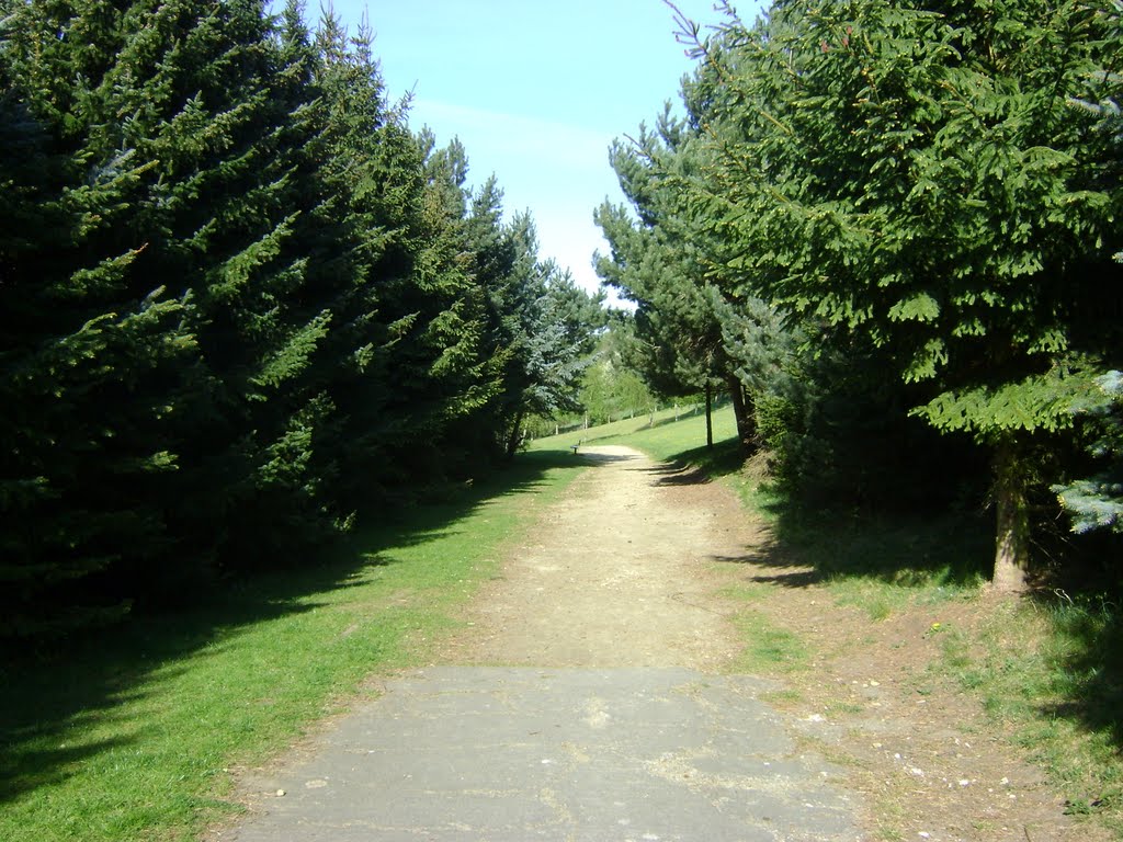 Caulms Wood Entrance.