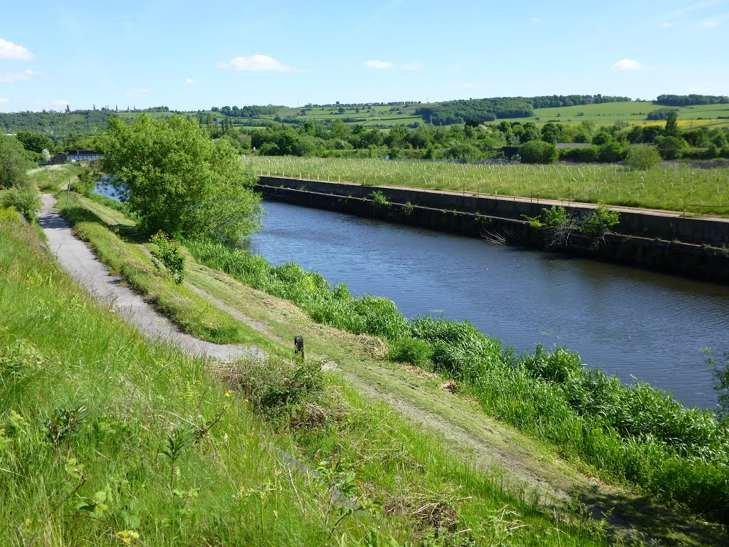 Canal Moorings