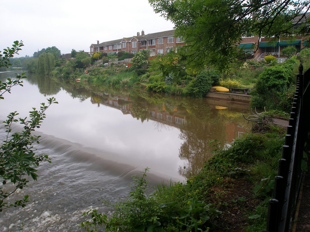 river exe at salmon leap weir