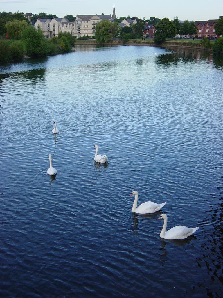 River Exe, in Exeter