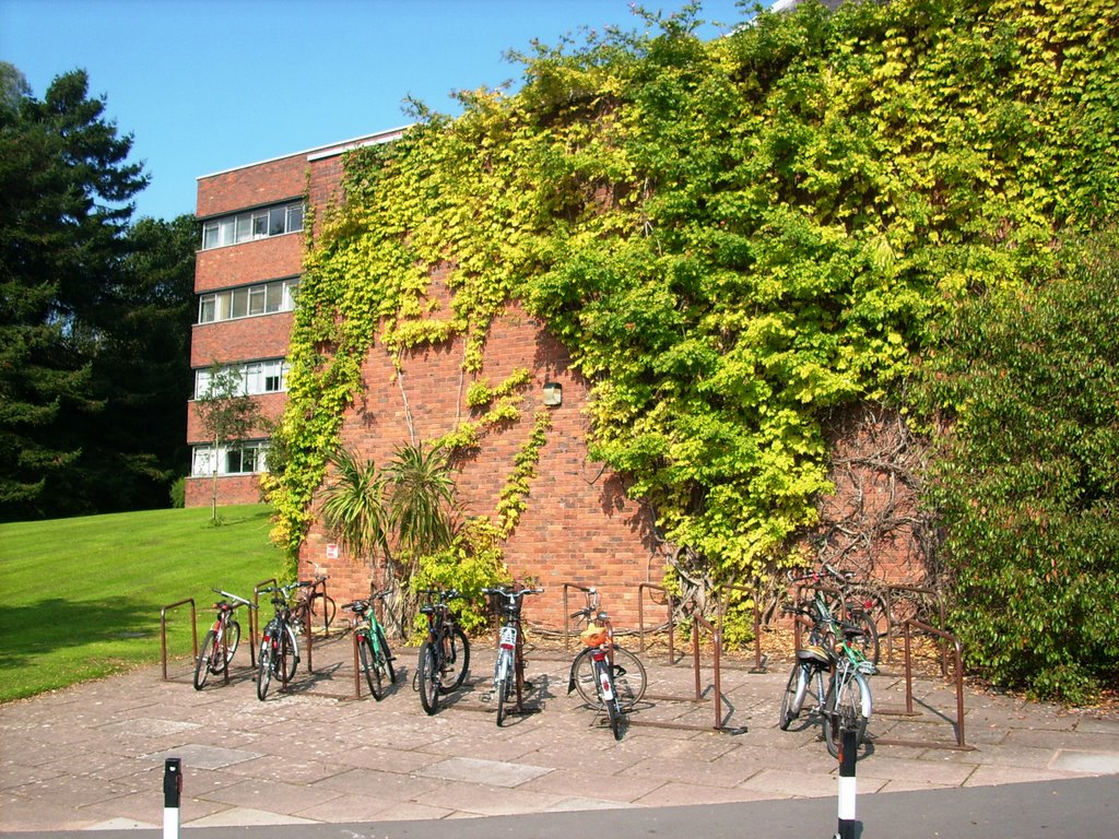 University of Exeter - Streatham Campus 6