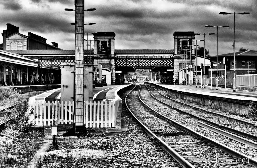 Exeter St. Davids