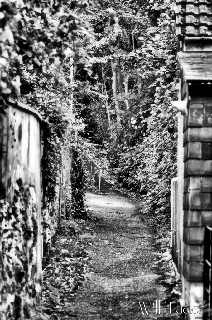 Path to Haldon Road