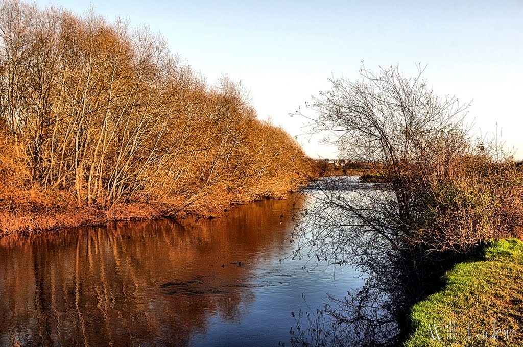 Autumn Colours On The Banks Of The Exe
