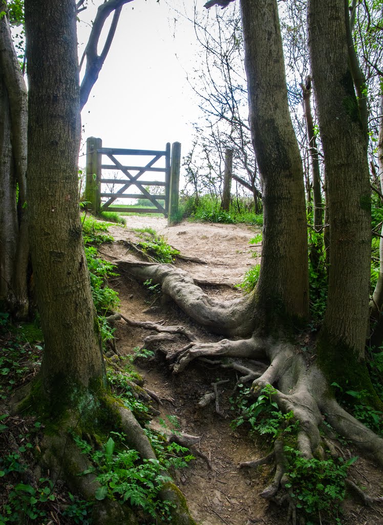 Part of the climb from Weir Wood Reservoir