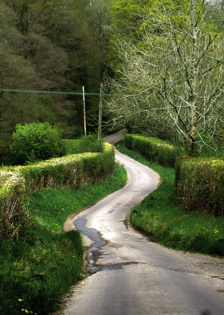Harwoods Lane, East Grinstead.