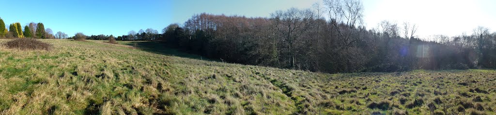Ashplats Field