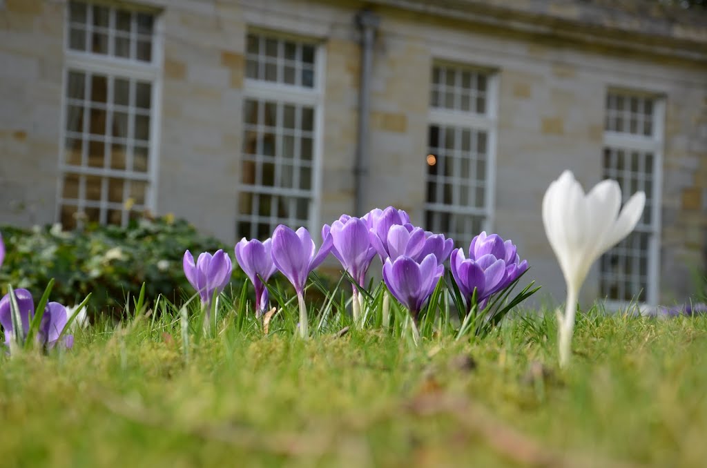 Saint Hill Manor @ Spring