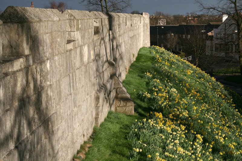 Walls