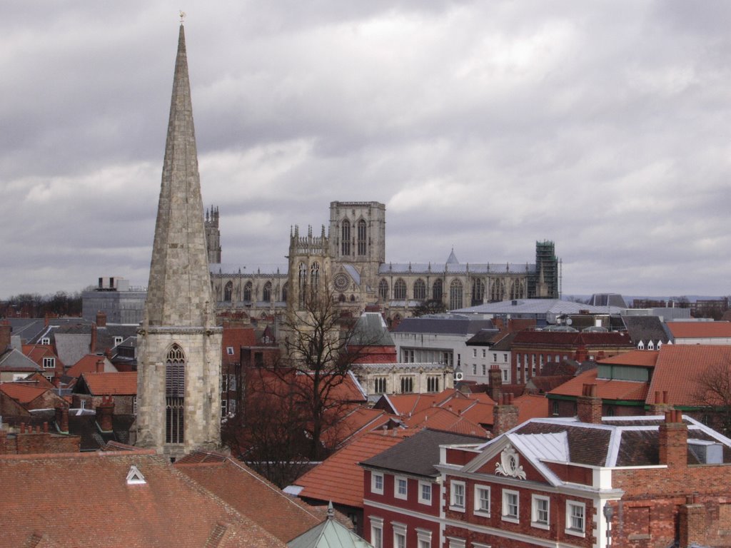 York View