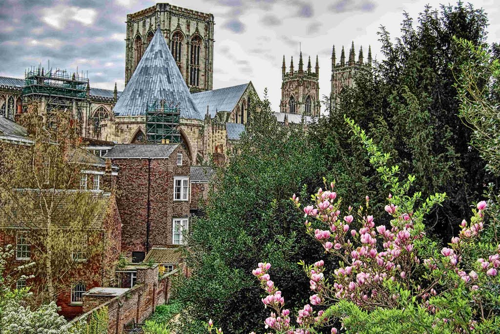 York,York Minster,England