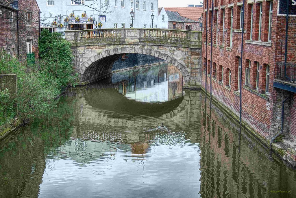 York,England