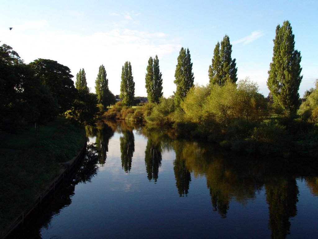 a wonderful morning is mirroring the nature in the / River Ouse, seen from Water End Bridge