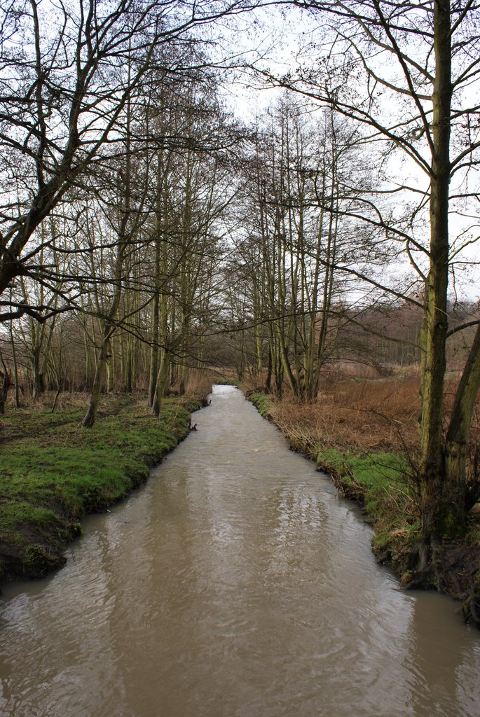 mill green stream