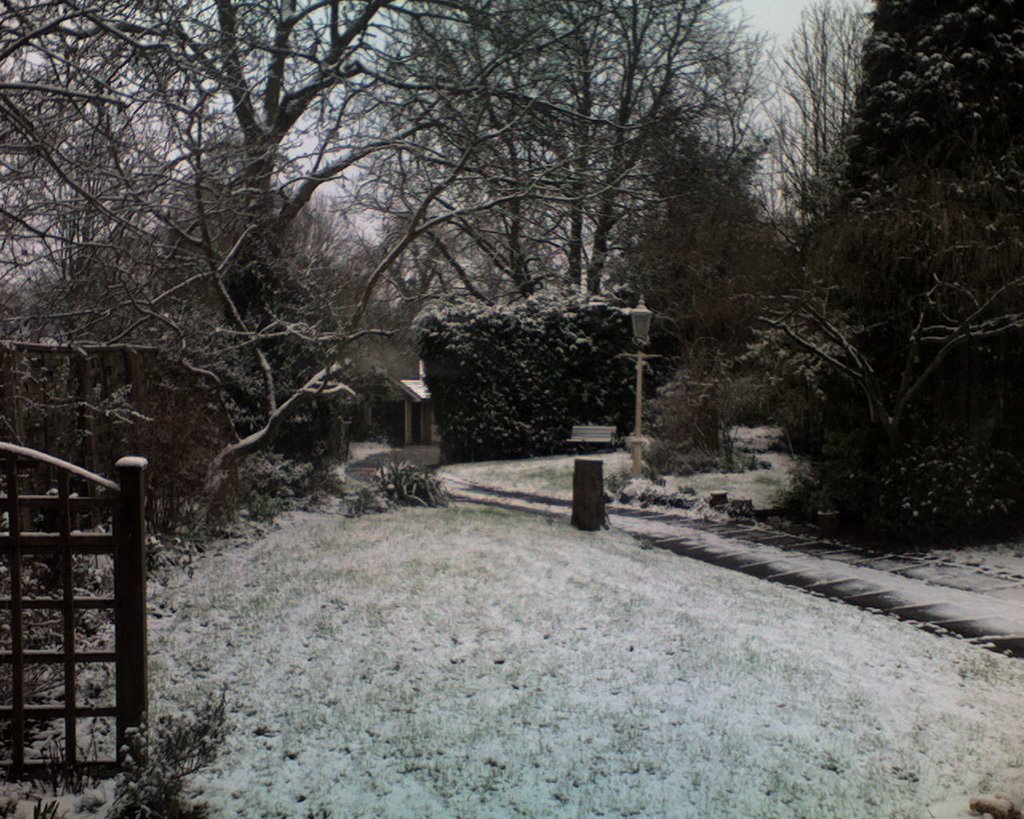 Snowy Cannock
