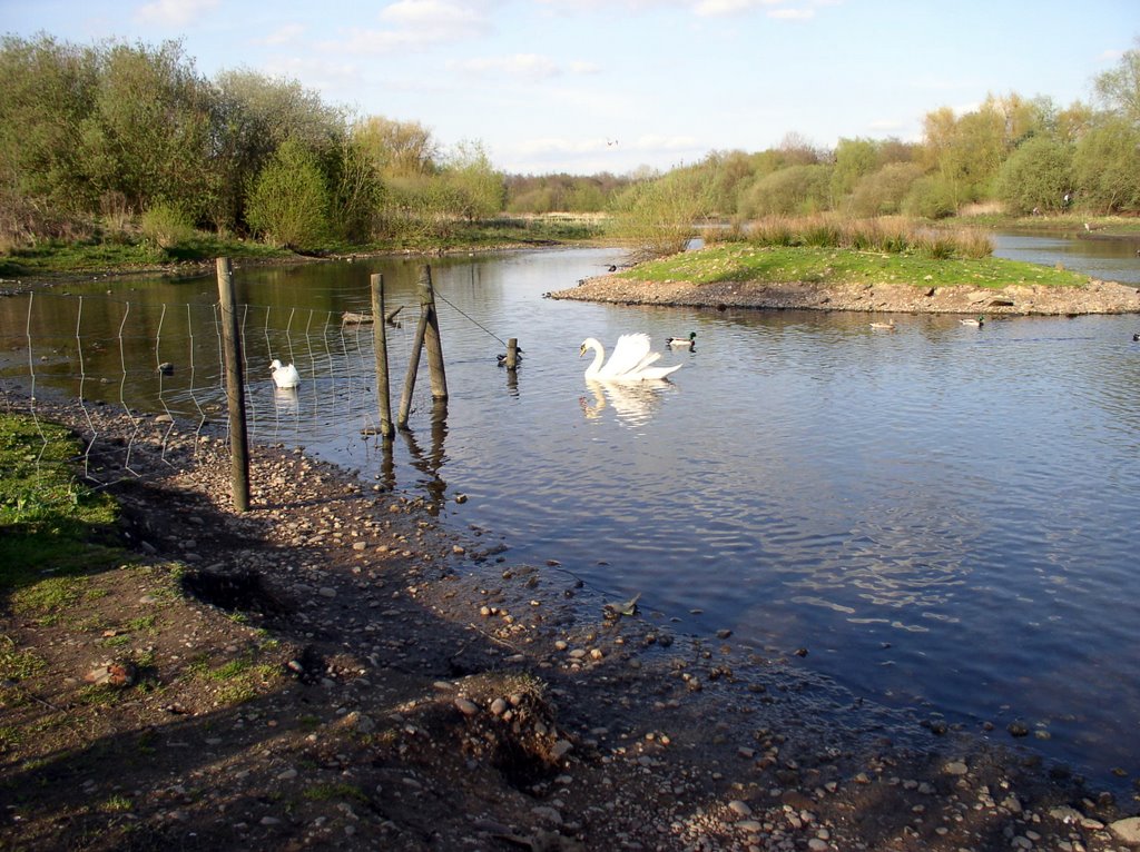 Cannock