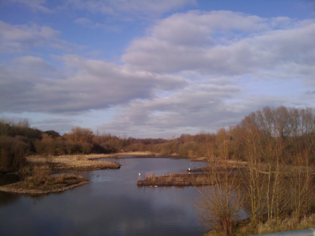 Mill Green and Hawkes Green nature reserve