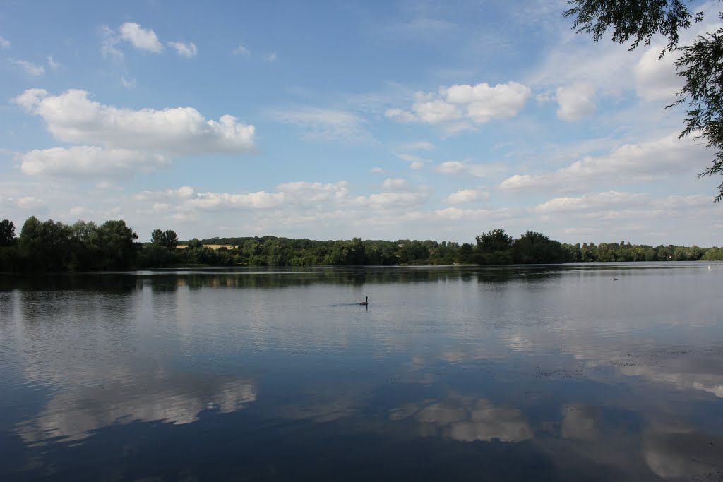 serinity