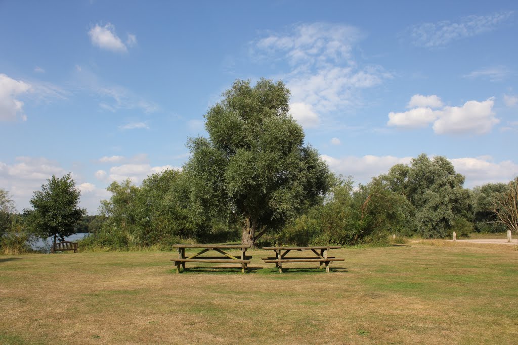 tables